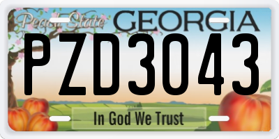 GA license plate PZD3043