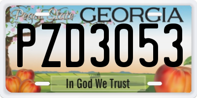 GA license plate PZD3053