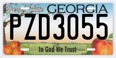 GA license plate PZD3055