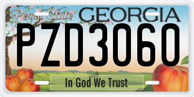 GA license plate PZD3060