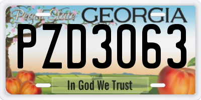 GA license plate PZD3063