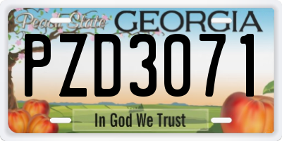 GA license plate PZD3071