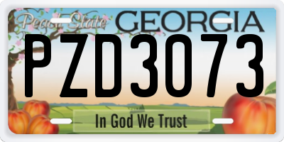 GA license plate PZD3073