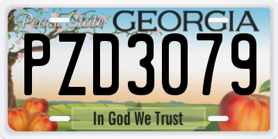 GA license plate PZD3079