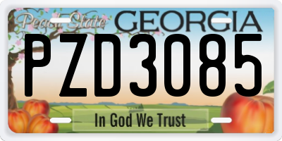 GA license plate PZD3085