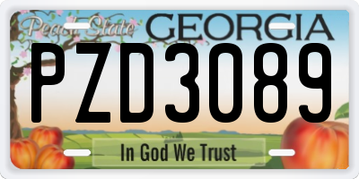 GA license plate PZD3089
