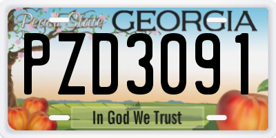 GA license plate PZD3091