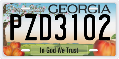 GA license plate PZD3102