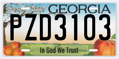 GA license plate PZD3103