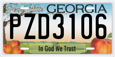 GA license plate PZD3106