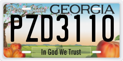 GA license plate PZD3110