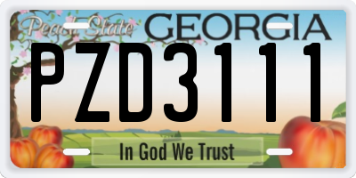 GA license plate PZD3111