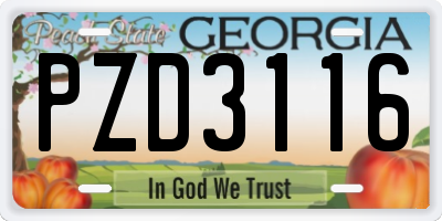 GA license plate PZD3116