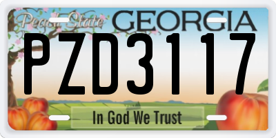 GA license plate PZD3117