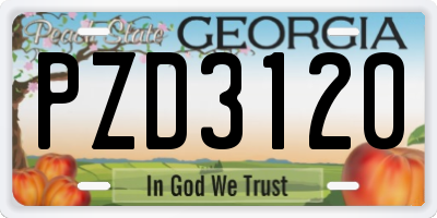 GA license plate PZD3120