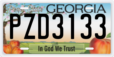 GA license plate PZD3133