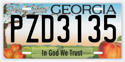 GA license plate PZD3135