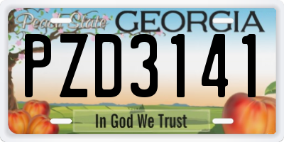 GA license plate PZD3141