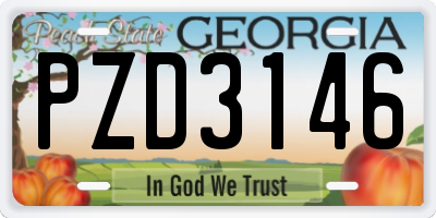 GA license plate PZD3146