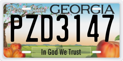 GA license plate PZD3147