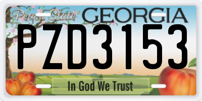 GA license plate PZD3153