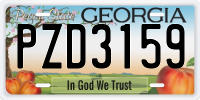GA license plate PZD3159