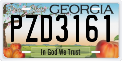 GA license plate PZD3161