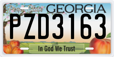 GA license plate PZD3163