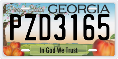 GA license plate PZD3165