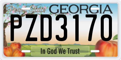 GA license plate PZD3170
