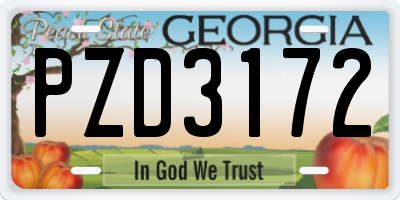 GA license plate PZD3172