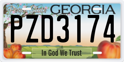 GA license plate PZD3174