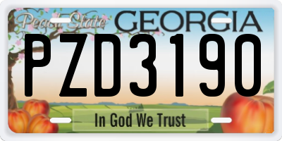GA license plate PZD3190
