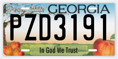 GA license plate PZD3191