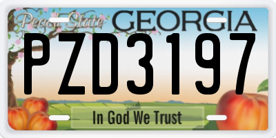 GA license plate PZD3197