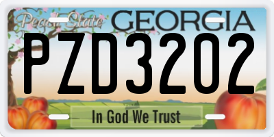 GA license plate PZD3202