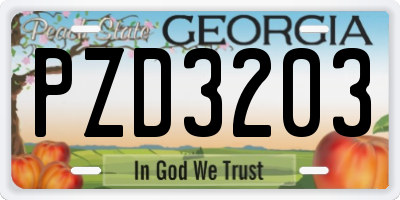 GA license plate PZD3203