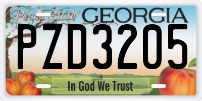 GA license plate PZD3205