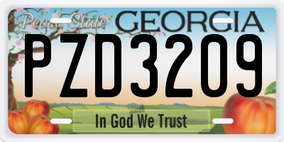 GA license plate PZD3209