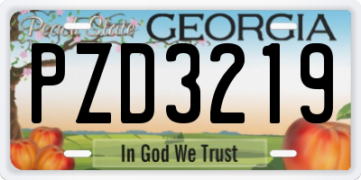 GA license plate PZD3219