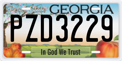GA license plate PZD3229