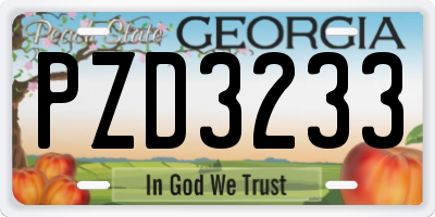 GA license plate PZD3233