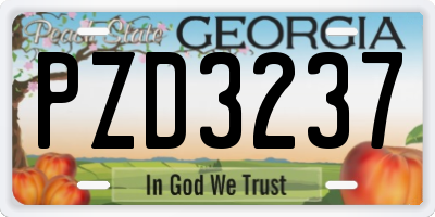 GA license plate PZD3237