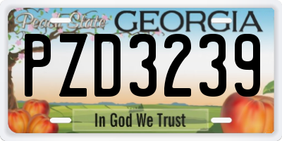 GA license plate PZD3239