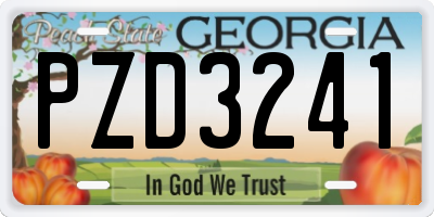 GA license plate PZD3241