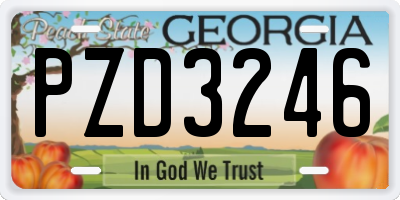 GA license plate PZD3246