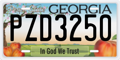 GA license plate PZD3250