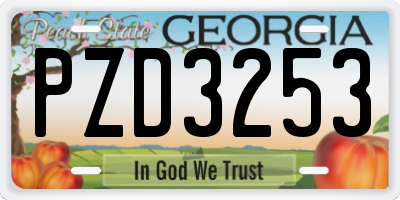 GA license plate PZD3253