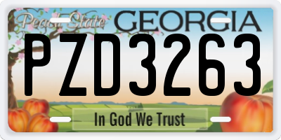 GA license plate PZD3263