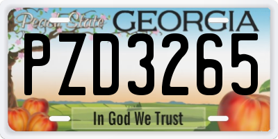 GA license plate PZD3265